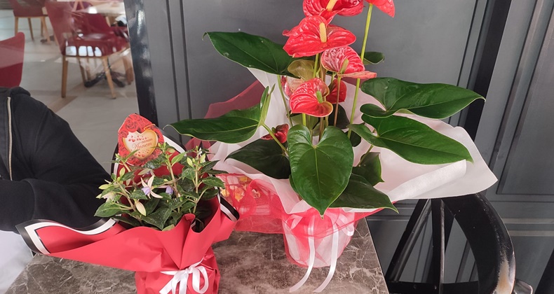 Anneler günü doyasıya kutlanıyor