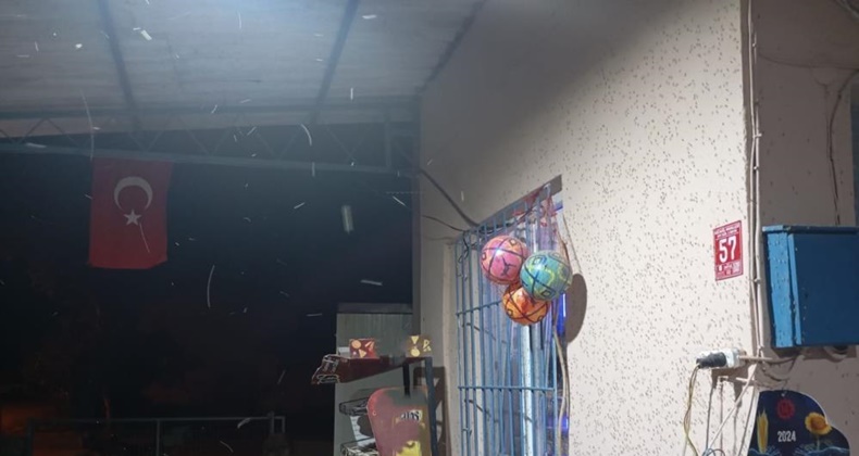 Manyas’ı sinekler istila etti