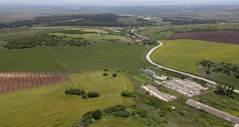 tarım