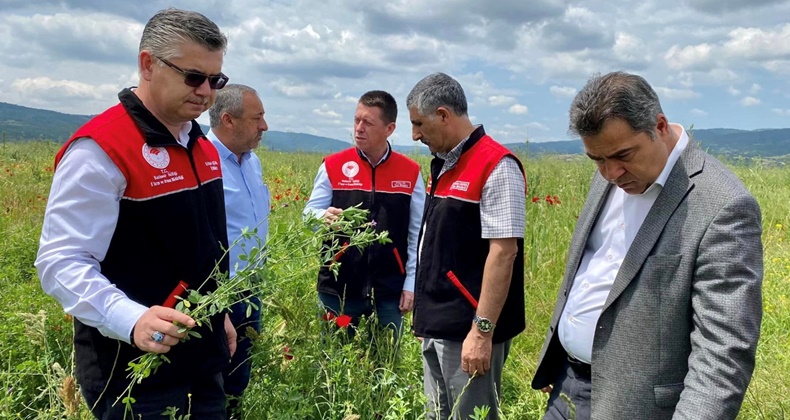 Meralarda ıslahla maliyet düşürülüyor