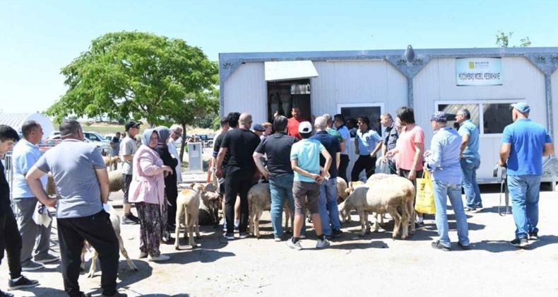 Altıeylül’den Kurban Kesim Hizmeti (1)