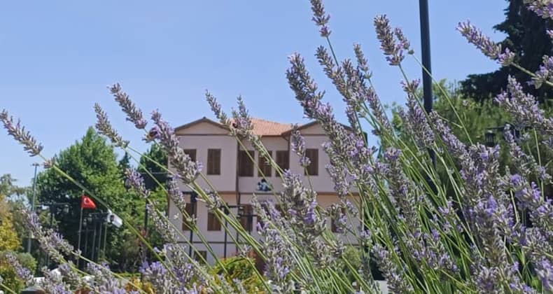 Atatürk Evi Lavanta Kokularıyla Şenlendi