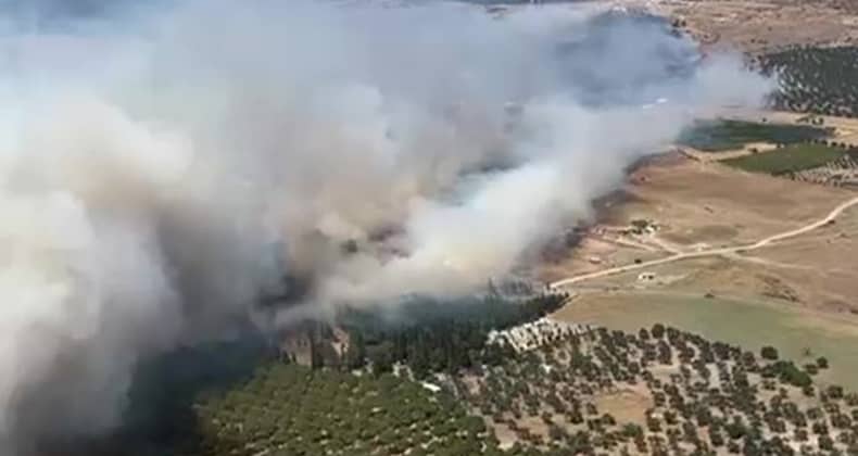 Ayvalık’ta çöplükte çıkan yangın otluk araziye sıçradı