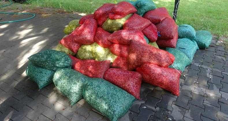Çanakkale’de 3 Ton Kum Şırlanı Ele Geçirildi