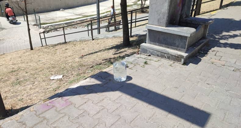 Hayvan Severlerden Örnek Davranış