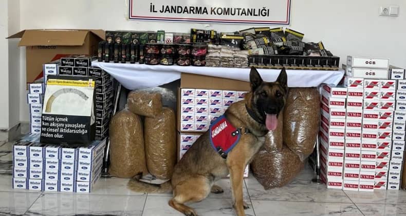 Jandarma 90 Bin 800 Adet Çeşitli Markalarda Boş Makaron Ele Geçirdi