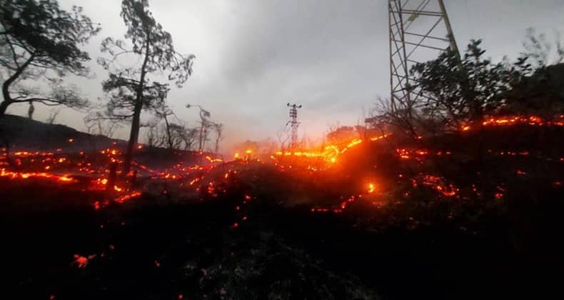 Marmaris’te Korkutan Orman Yangını