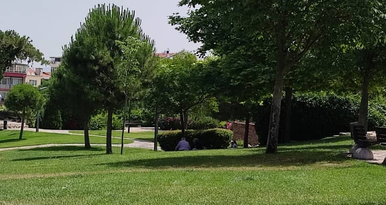 Parktaki Gölge Alanı Tercih Ediyorlar