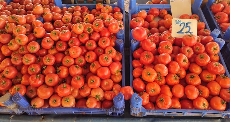 Cumartesi Pazarı’nın Gözdesi: Bahçe Domatesi