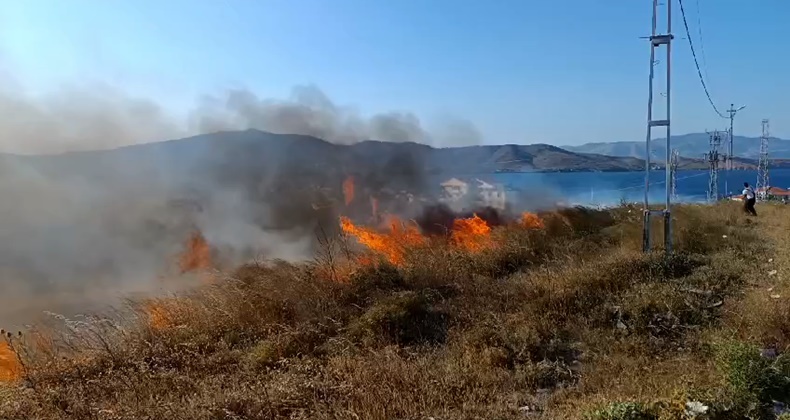 avşa