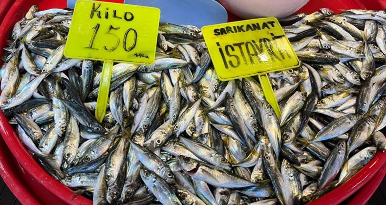 balık