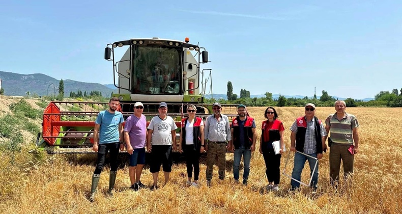 Biçerdöverler sıkı takibe alındı