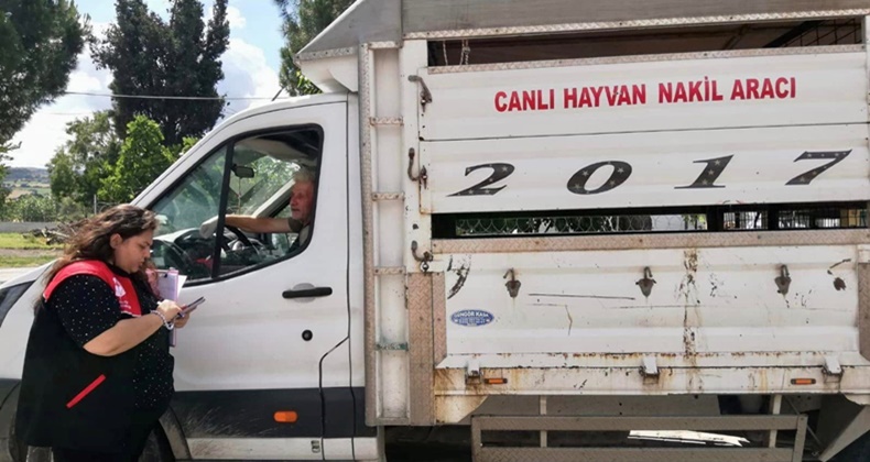 Kurbanlık hayvan sevklerine sıkı takip