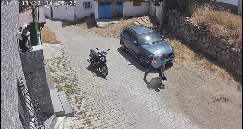 köğpeğe şiddet