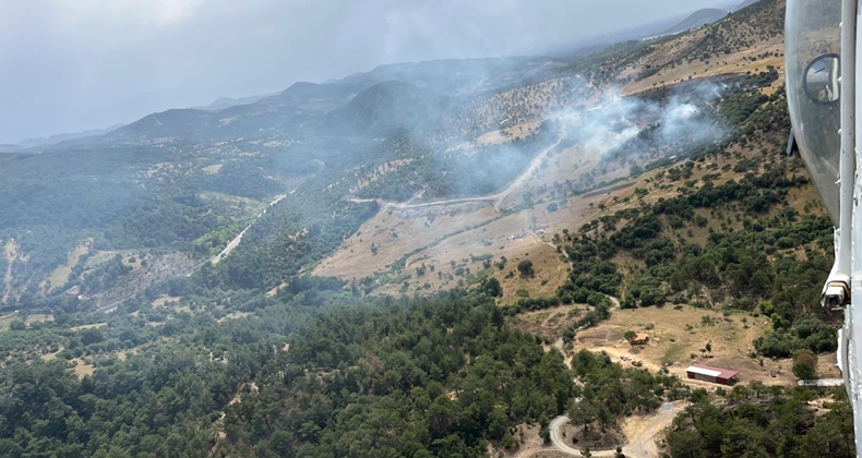 Havran’da Orman Yangını