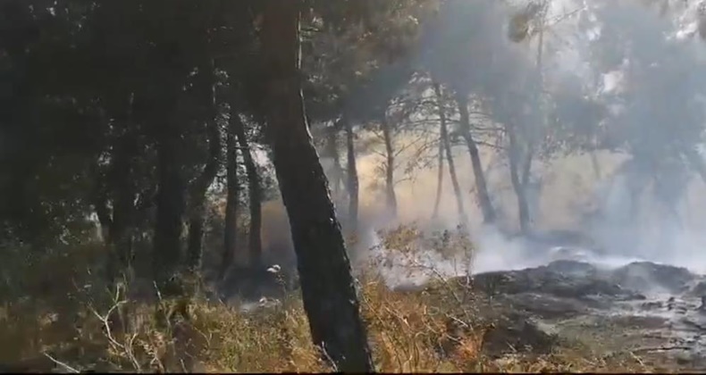 Savaştepe’de arazi yangını ormana sıçradı