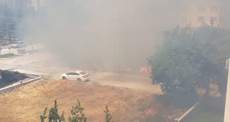 yangın
