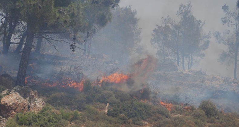 Ayvalık’taki yangın kontrol altına alındı