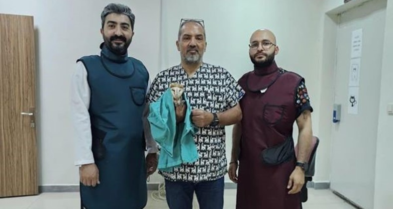 Yaralı peçeli baykuş tedavisi yapılarak doğaya bırakıldı