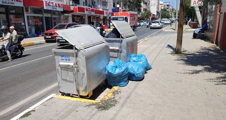 İnsan Sağlığı Tehlikede