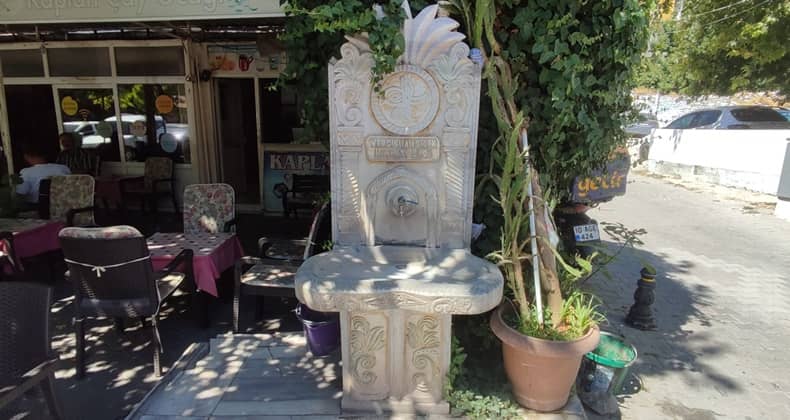 Nergisli Ali Çiçek Su Hayratı