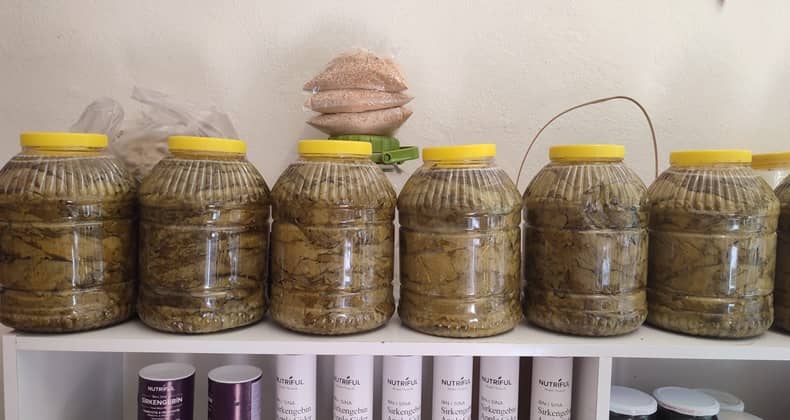 Salamura Yaprak Sezonu Başladı