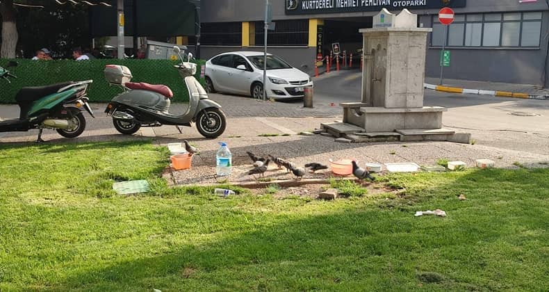 Sıcaklarda Sokaktaki Dostlarımız Unutulmuyor