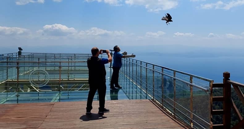 Yaralı bulunan kızıl şahin tedavisinden sonra Kazdağları’na salıverildi