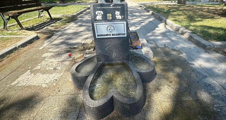 Suluklar ve mama kapları yenilendi