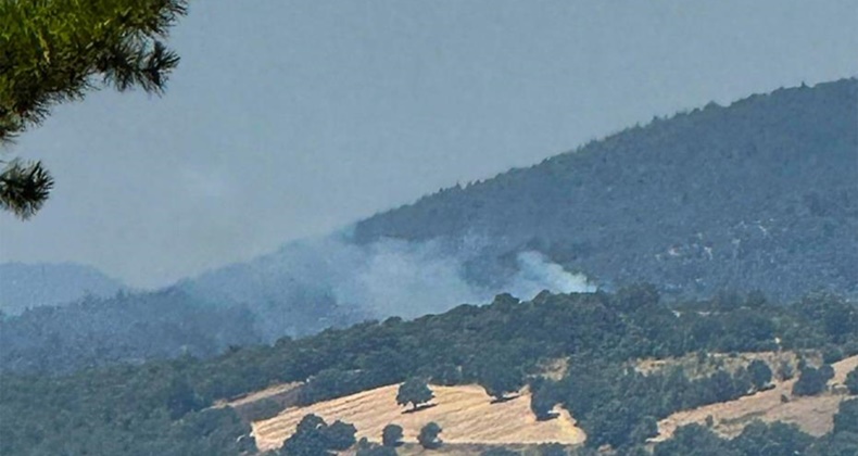 Dursunbey’de arazide çıkan yangın ormana sıçradı