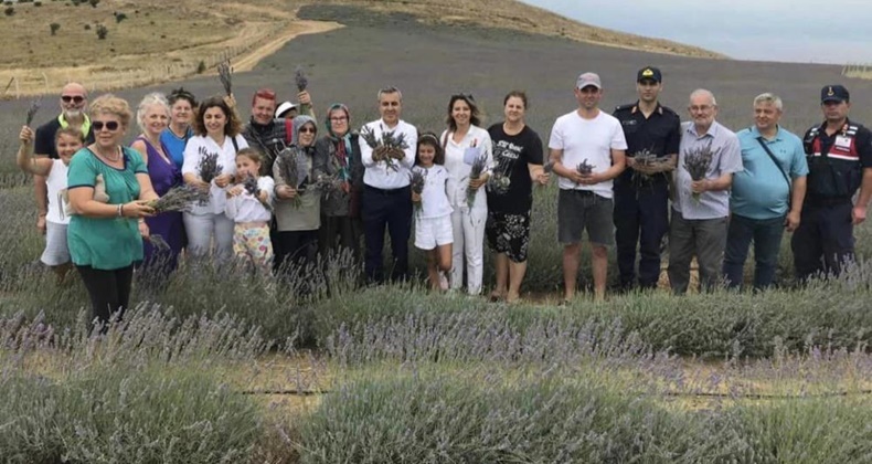 Paşalimanı Adası’nda lavanta hasadı gerçekleşti