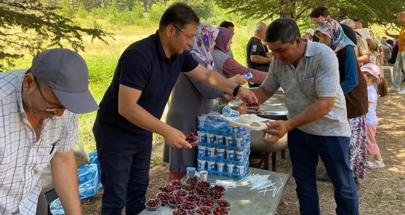 Ulus Dağı eteklerinde kiraz şenliği