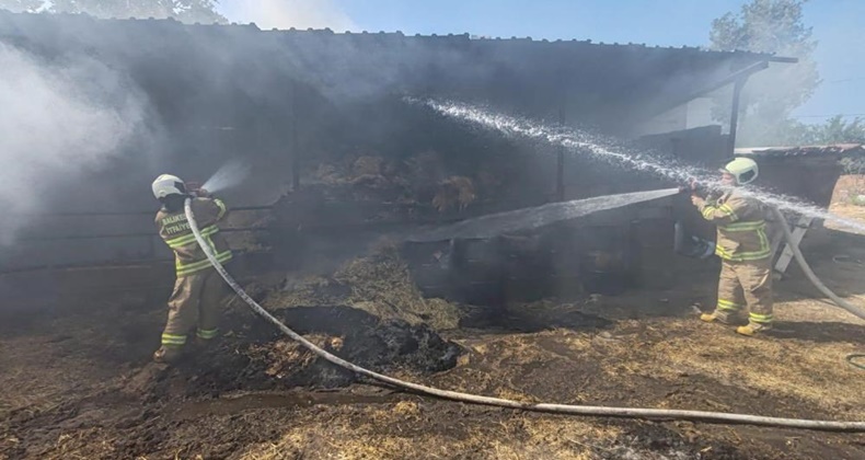 Ahırda çıkan yangında 3 büyükbaş hayvanda yanıklar oluştu