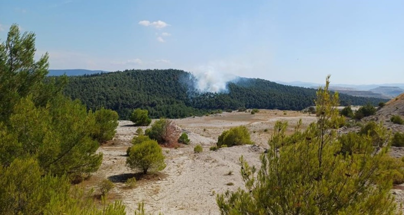 yangın