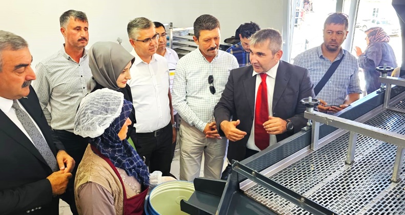 Badalan Fasulyesi Çarmık Köyü İçin Katma Değerli Ürün Oluyor