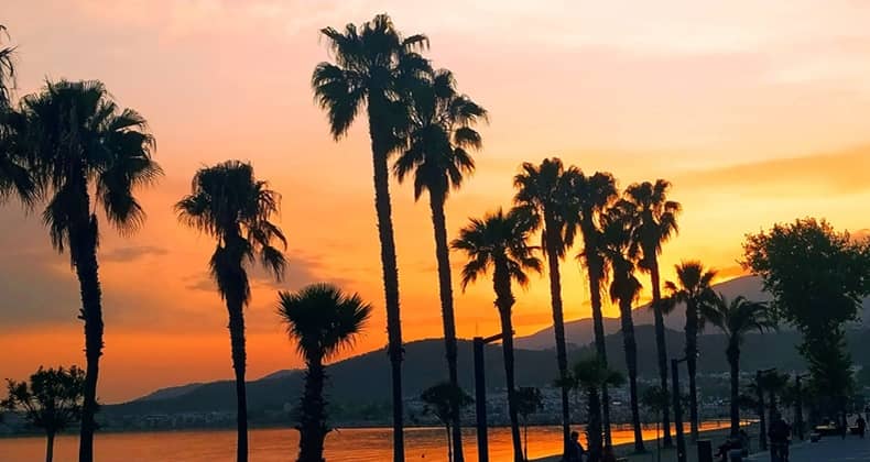 Güre’deki Sinematik Dönüşüm Büyülüyor