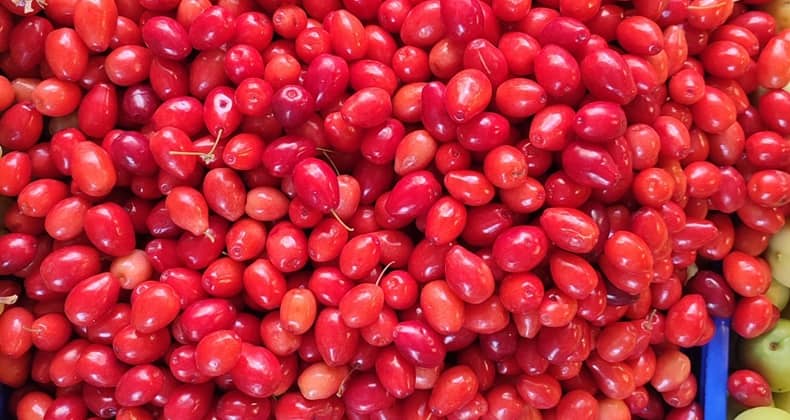 Kızılcık Tezgahlardaki Yerini Aldı