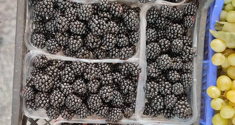 Lezzet ve Sağlık Bir Arada