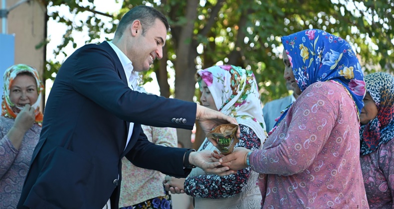 büyükşeir