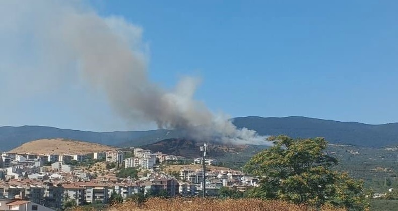 BALIKESİR'DE ORMAN YANGINI