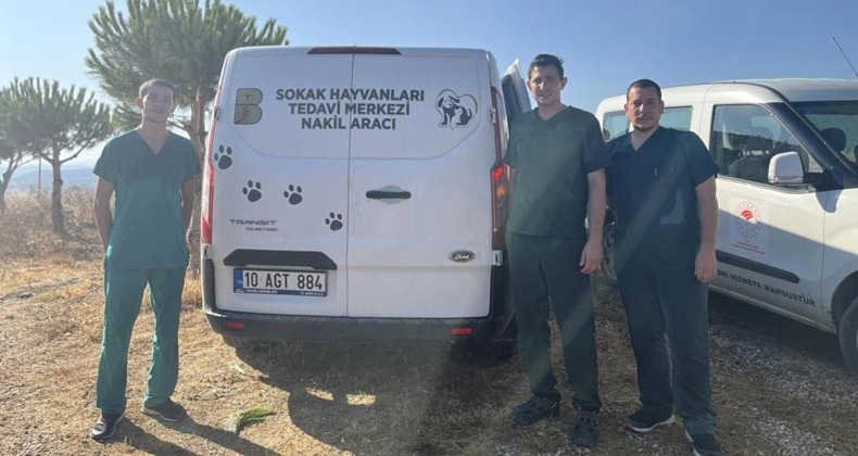 Erdek’teki yangında yaralanan hayvanlara anında müdahale