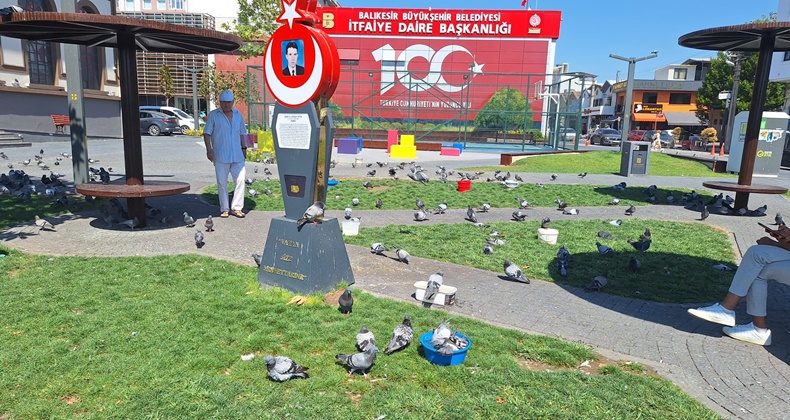 güvercin parkı
