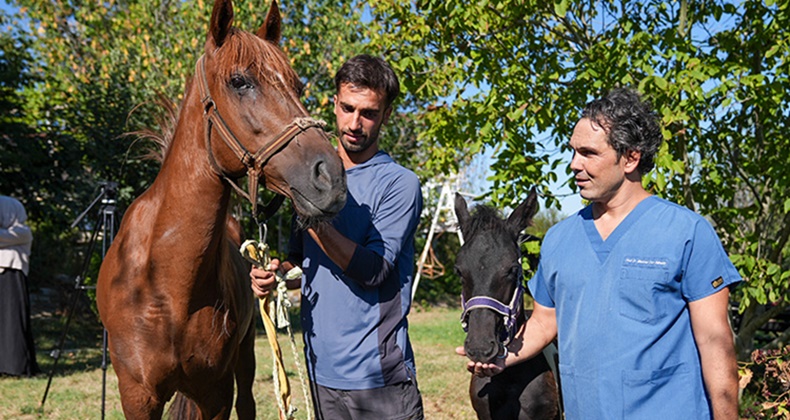Türkiye’nin İlk Tüp Tayı “Balat” Dünyaya Geldi