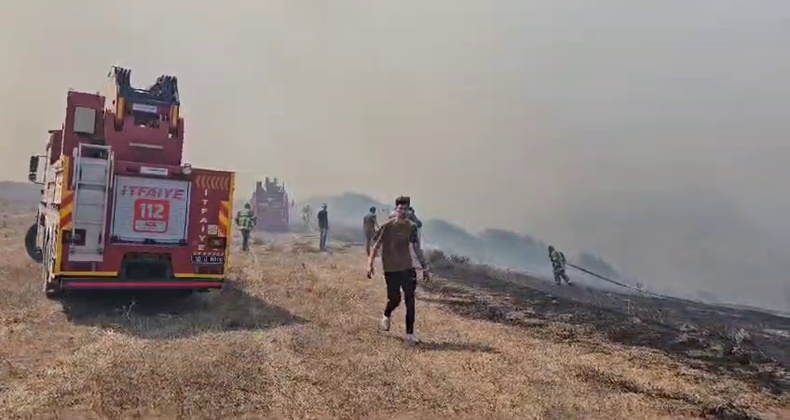 Bandırma’da otluk alanda yangın çıktı