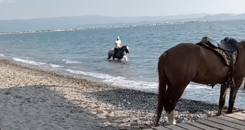 Akçay Sahilleri Atlara Kaldı