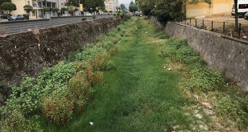 Çay Deresi Botanik Bahçesi!