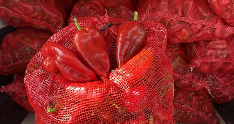Kırmızı Biber Balıkesirli Çiftçilerin Yüzünü Güldürüyor