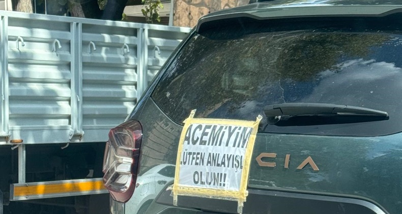 Acemi sürücüden anlayış çağrısı