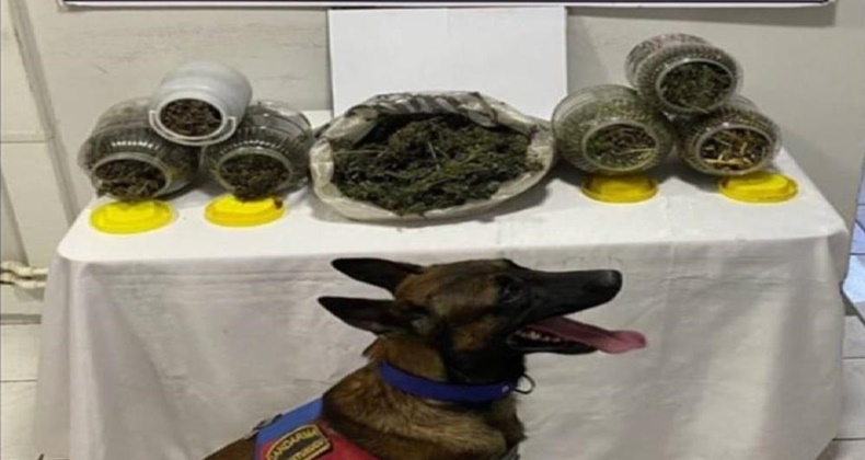 Balıkesir’de uyuşturucu operasyonu: 6 kişi yakalandı