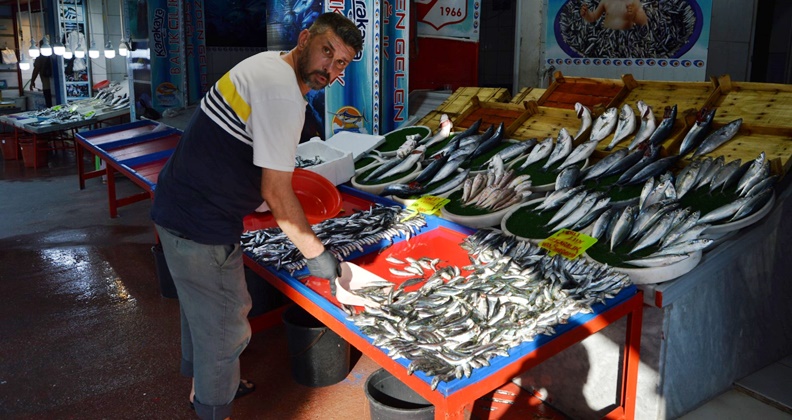 balıkçı